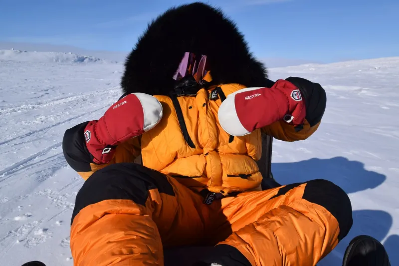 The Arithmetic of Awe: What It Truly Costs to Create a Paul Nicklen Photograph