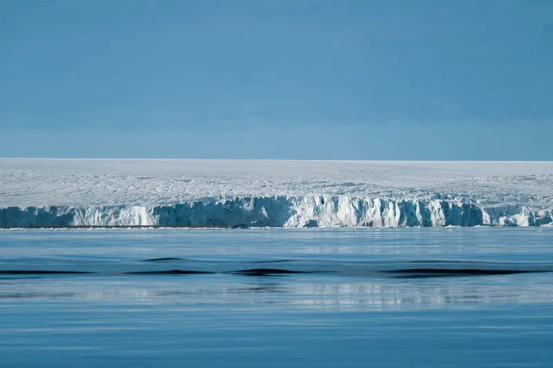 When Wilderness Goes Quiet: The Emotional Frequency of Paul Nicklen's Photography
