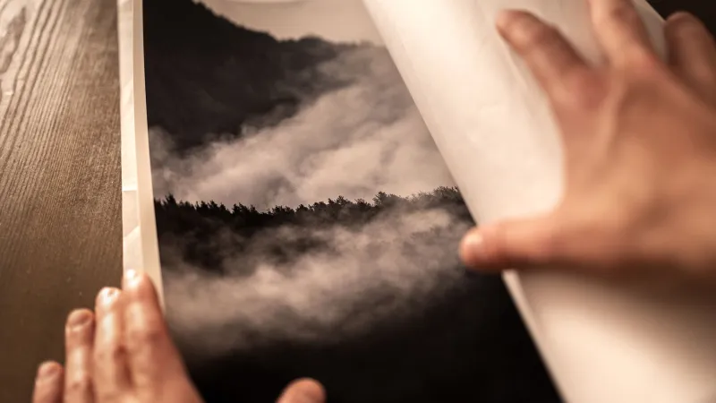 Where Passion Meets Portfolio: The Rise of Wildlife Photography as a Collector's Investment